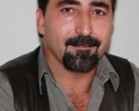 salamzijii